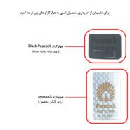 فلاسک پیکوک مدل SSSM کد 501 گنجایش 1.3 لیتر